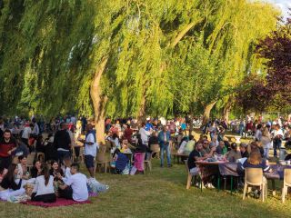 Pique-Nique & Feu d'artifice 2024
