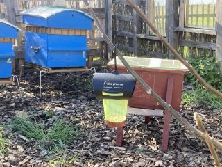 Pièges contre le frelon asiatique - API Carrières