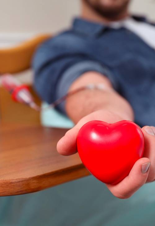 Collecte de don du sang