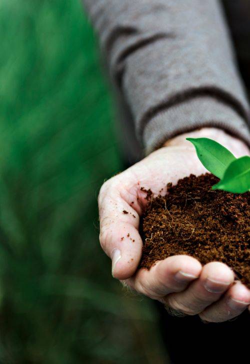 distribution compost