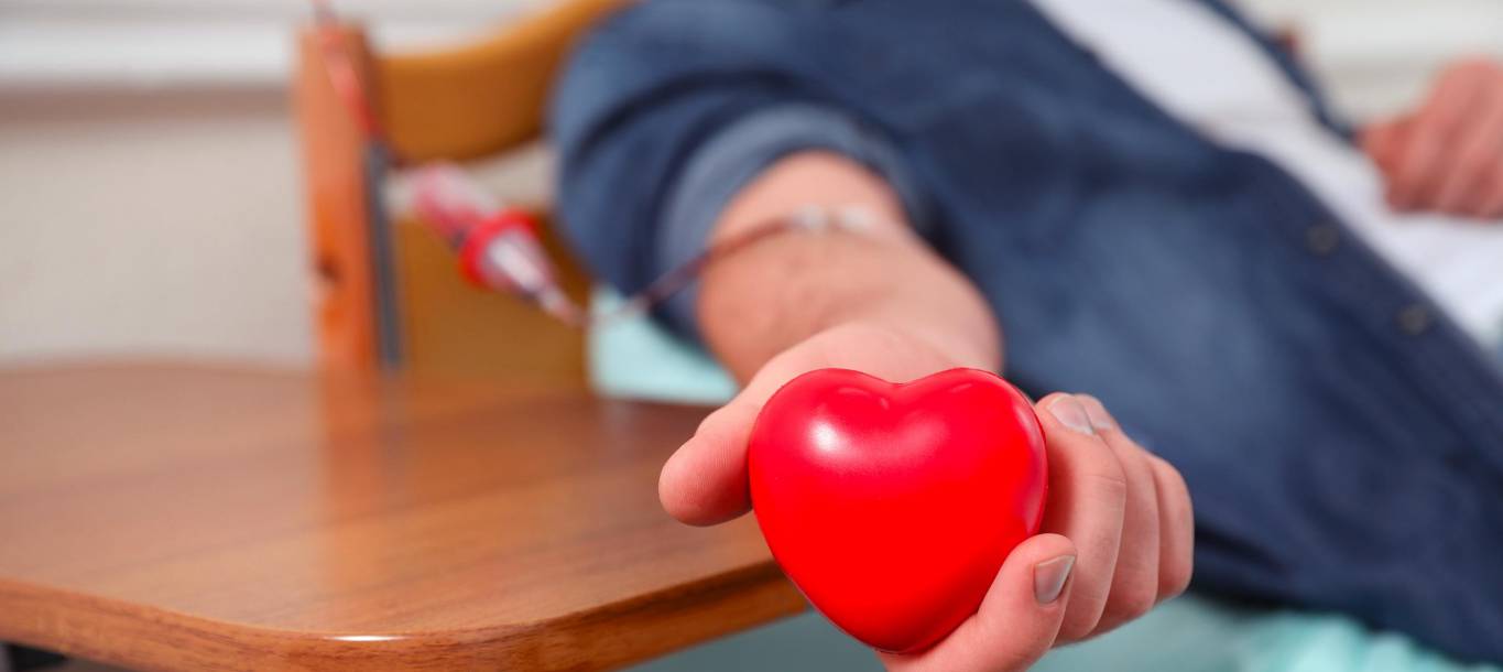 Collecte de don du sang