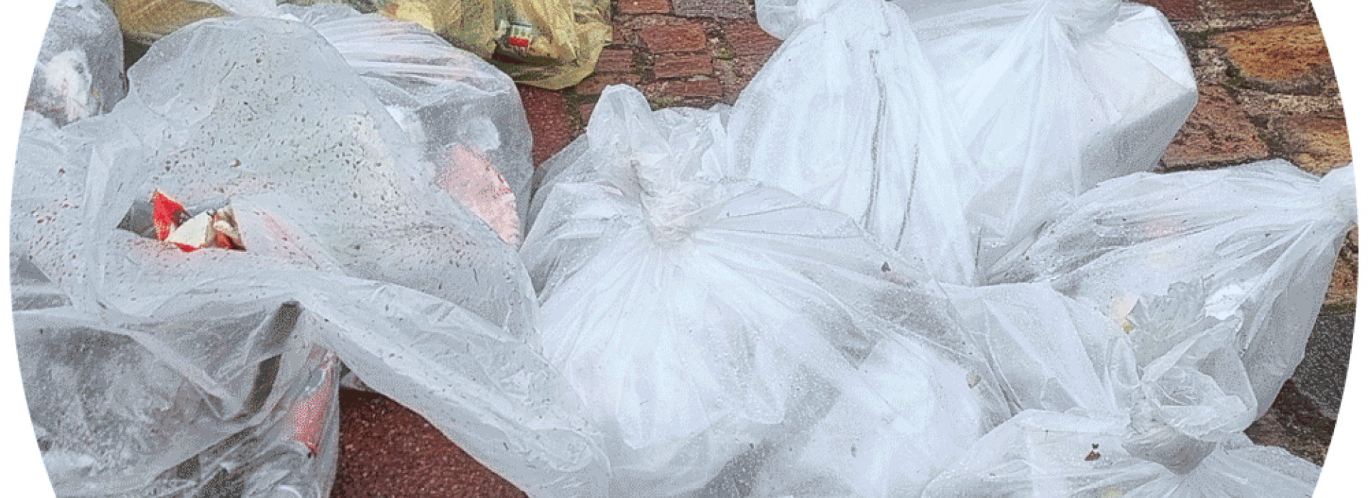 Range Ta Planète - World Clean Up Day 2025 - Carrières-sur-Seine