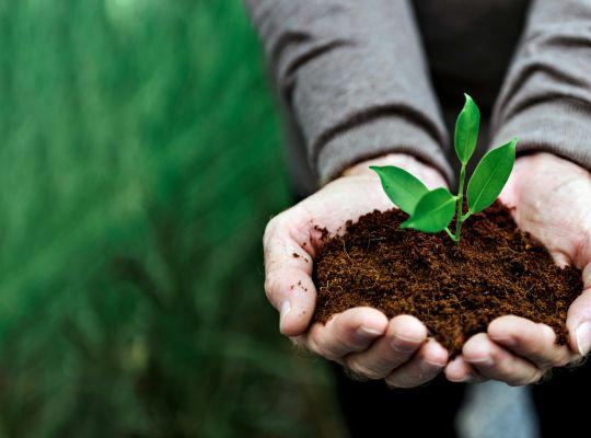 distribution compost