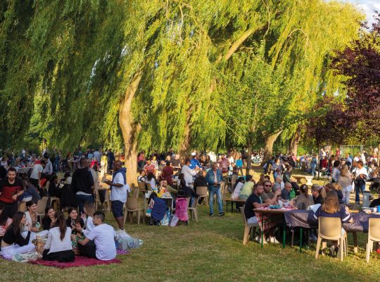 Pique-Nique & Feu d'artifice 2024