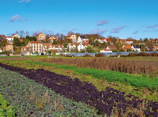 Zone Agricole Protégée