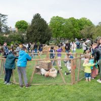 CHASSE AUX ŒUFS 2025