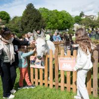 CHASSE AUX ŒUFS 2025