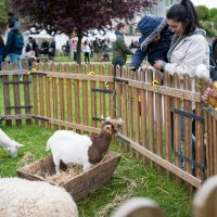 CHASSE AUX ŒUFS 2025