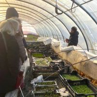 Ateliers culinaires CCAS 2025