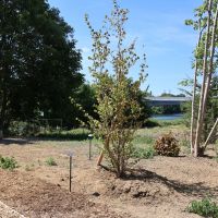 Inauguration du parc Carrières-saint-Denis