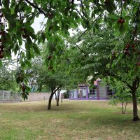 verger de la ferme à Riant