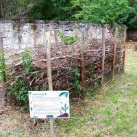 verger de la ferme à Riant