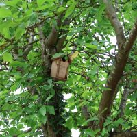 verger de la ferme à Riant