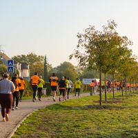 Furieuse Carrillonne 2025