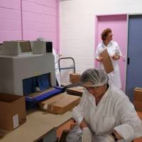 ESAT La Roseraie - 9