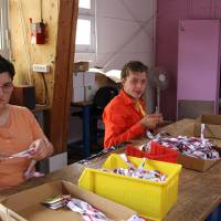 ESAT La Roseraie - 8