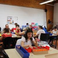 ESAT La Roseraie - 5