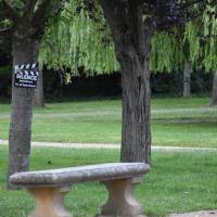 cinéma en plein air