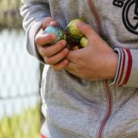 Chasse aux œufs de Pâques 2022 dans le parc de la mairie