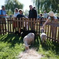 Chasse aux œufs de Pâques 2022 - Ferme pédagogique