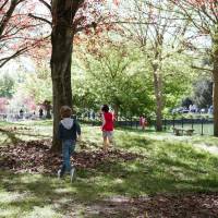 Chasse aux œufs de Pâques 2022