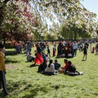 Chasse aux œufs de Pâques 2022