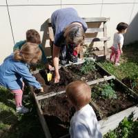 Initiation au jardinage 