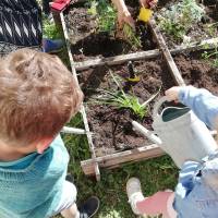 Initiation au jardinage 