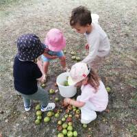 Pique-nique de fin d'année