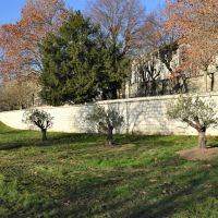 Plantations d'arbres - Parc de la Mairie