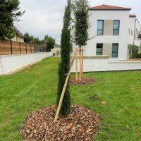 Plantations d'arbres - Centre médical