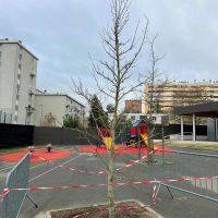 Plantations d'arbres - Ecole maternelle des Alouettes