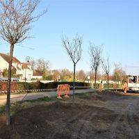 Plantations d'arbres - Place des Fêtes