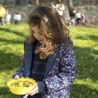 Chasse aux oeufs 2023