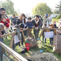 Chasse aux oeufs 2023