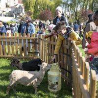 Chasse aux oeufs 2023