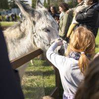 Chasse aux oeufs 2023
