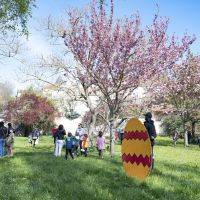 Chasse aux oeufs 2023