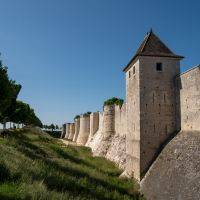 49e anniversaire du jumelage avec Grünstadt
