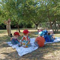 Pique-nique en musique en juillet 2023