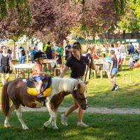 Forum de la Ville et des Associations 2023