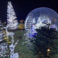 Féeries de Noël 2023
