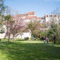 Chasse aux oeufs 2024