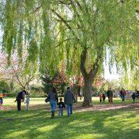 Chasse aux oeufs 2024