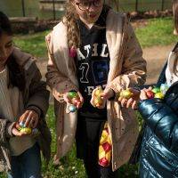 Chasse aux oeufs 2024