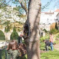 Chasse aux oeufs 2024