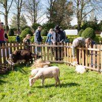 Chasse aux oeufs 2024