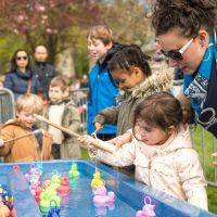 Chasse aux oeufs 2024