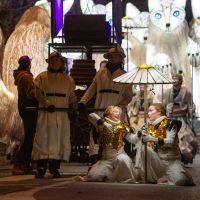 Féeries et Illuminations de Noël 2025