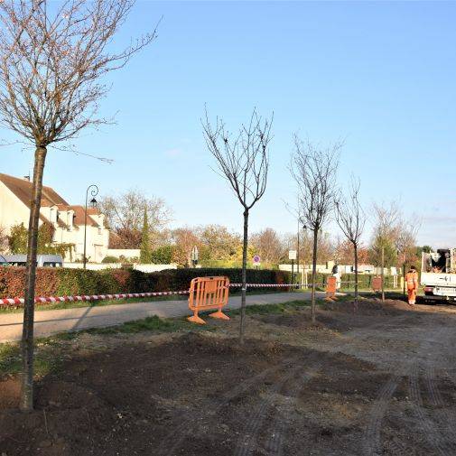 Plantations d'arbres - Place des Fêtes